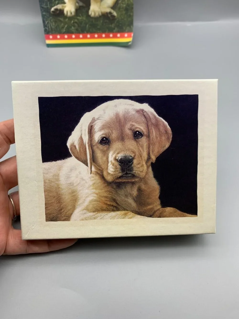 NEW Box Lang Lab Note Cards with Envelopes and Yellow Lab Book